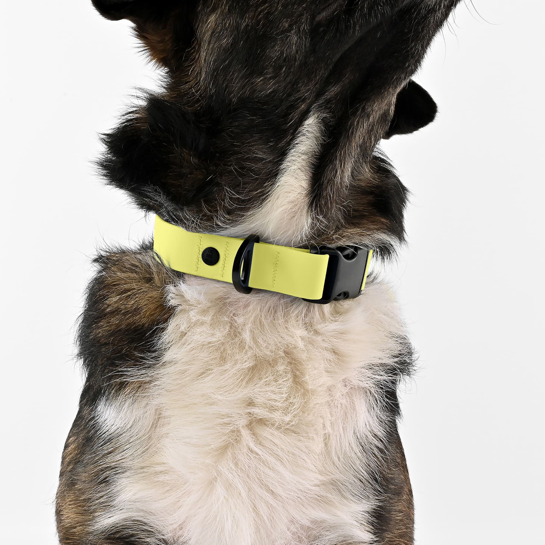 BioThane Halsband - Butteryellow - Image 4