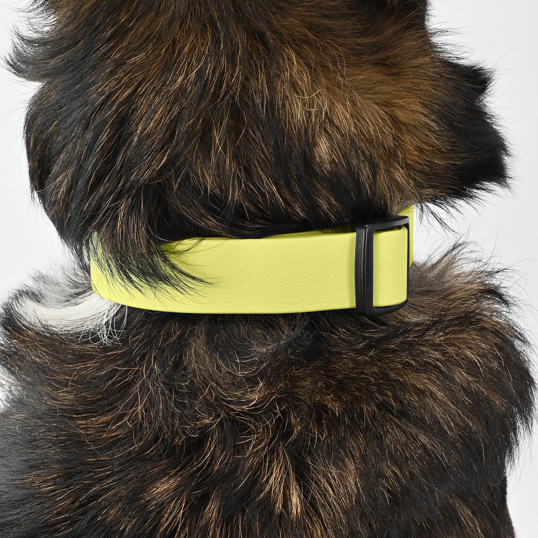 BioThane Halsband - Butteryellow - Image 5