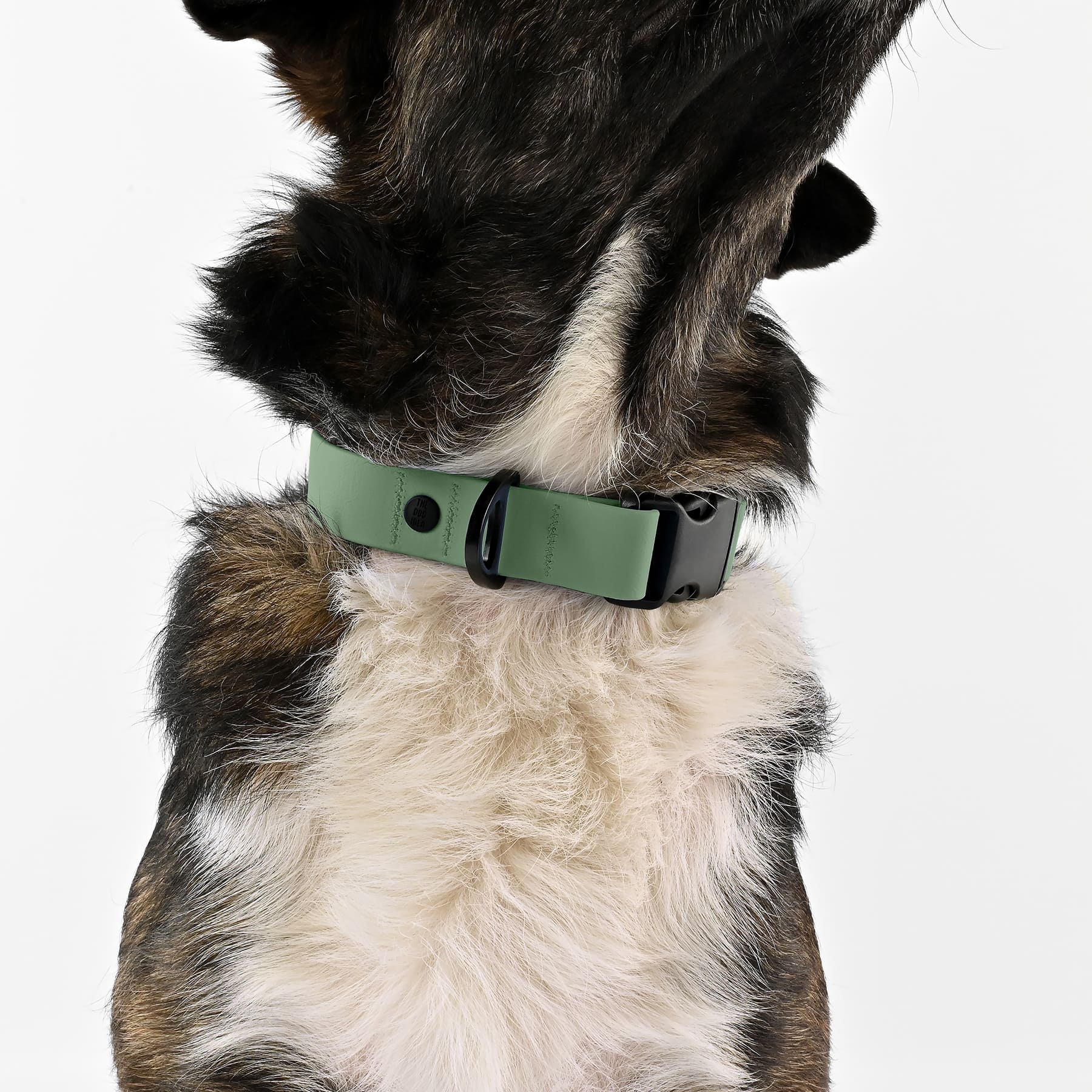 BioThane Halsband - Early Green - Image 4