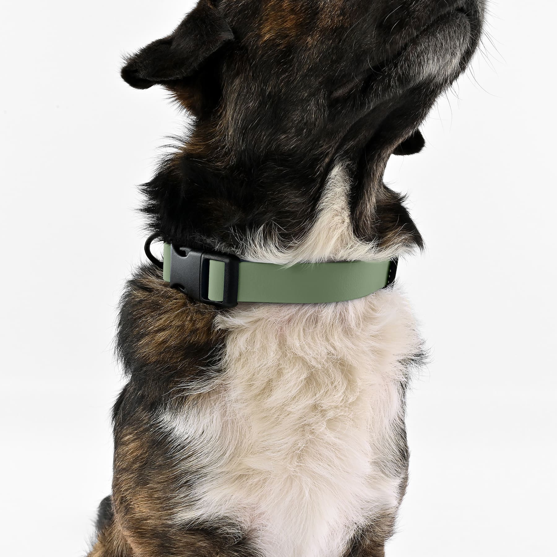 BioThane Halsband - Early Green - Image 6