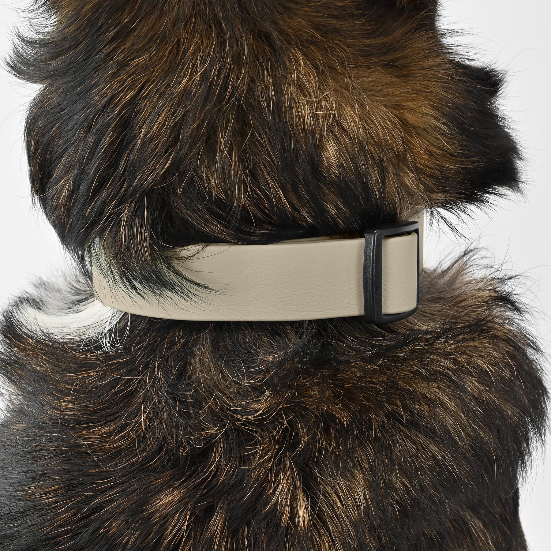 BioThane Halsband - Taupe - Image 5