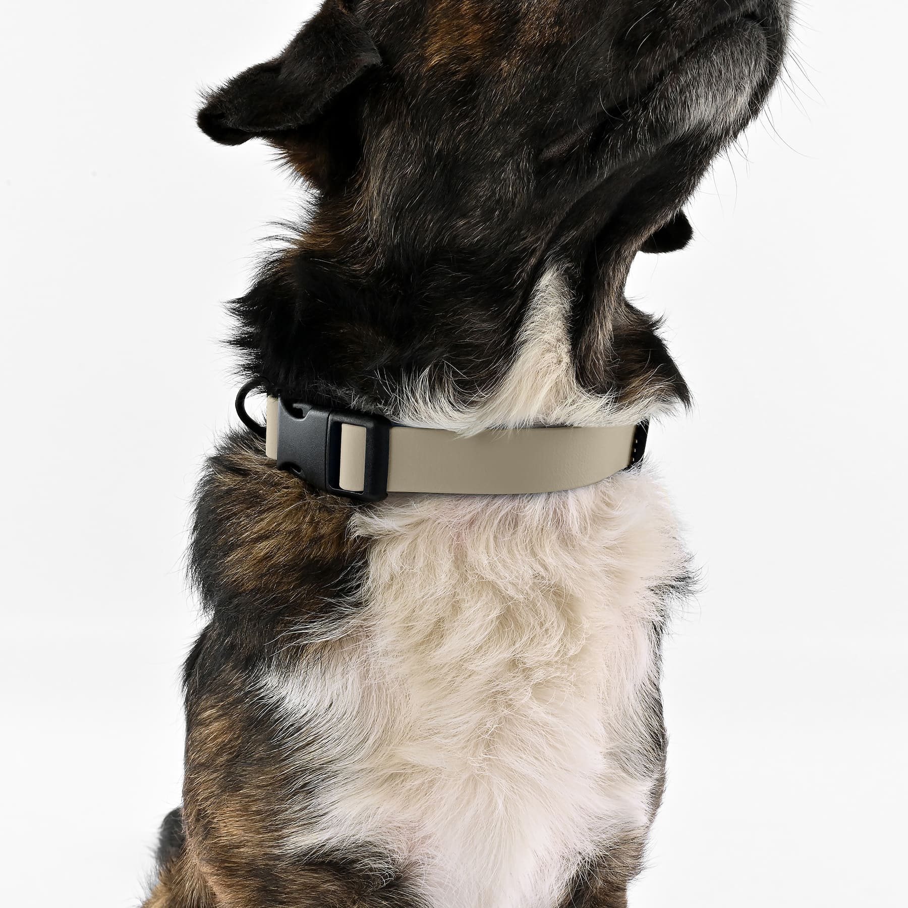 BioThane Halsband - Taupe - Image 6