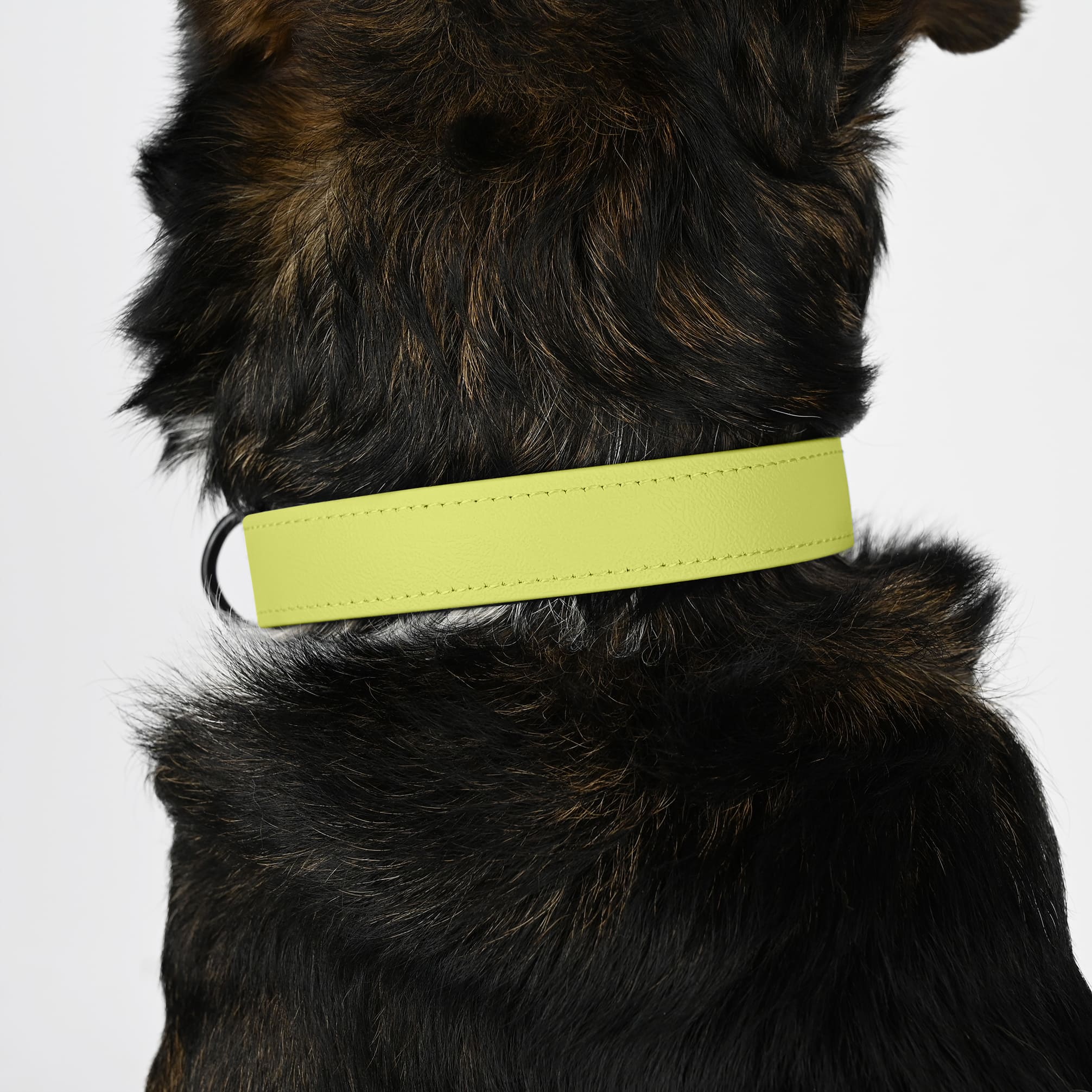 BioThane Halsband gepolstert - Butteryellow - Image 3