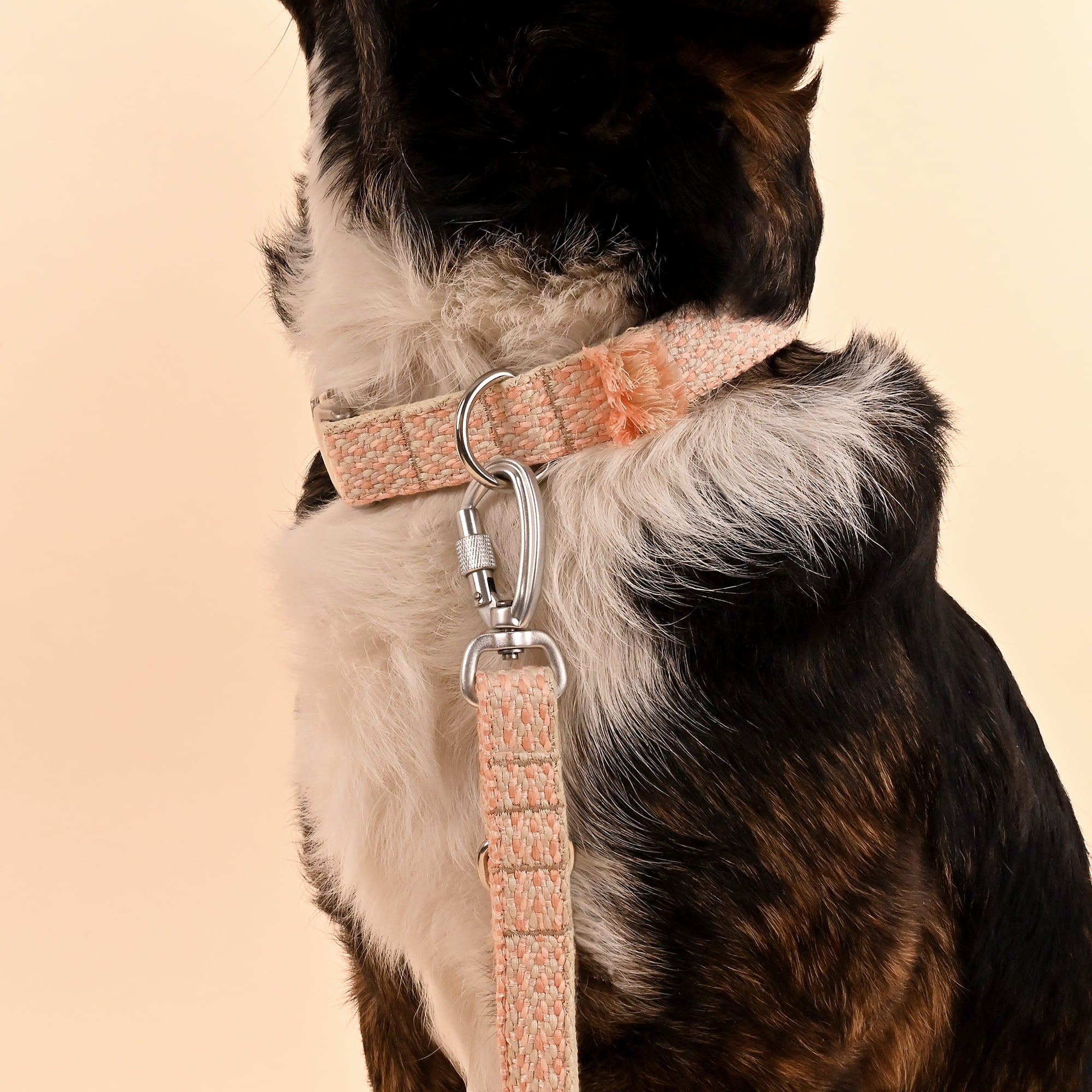 Hundeleine Blush Berry - Image 4