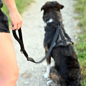 Alternative view of Trail Hundeleine Schwarz-Khaki