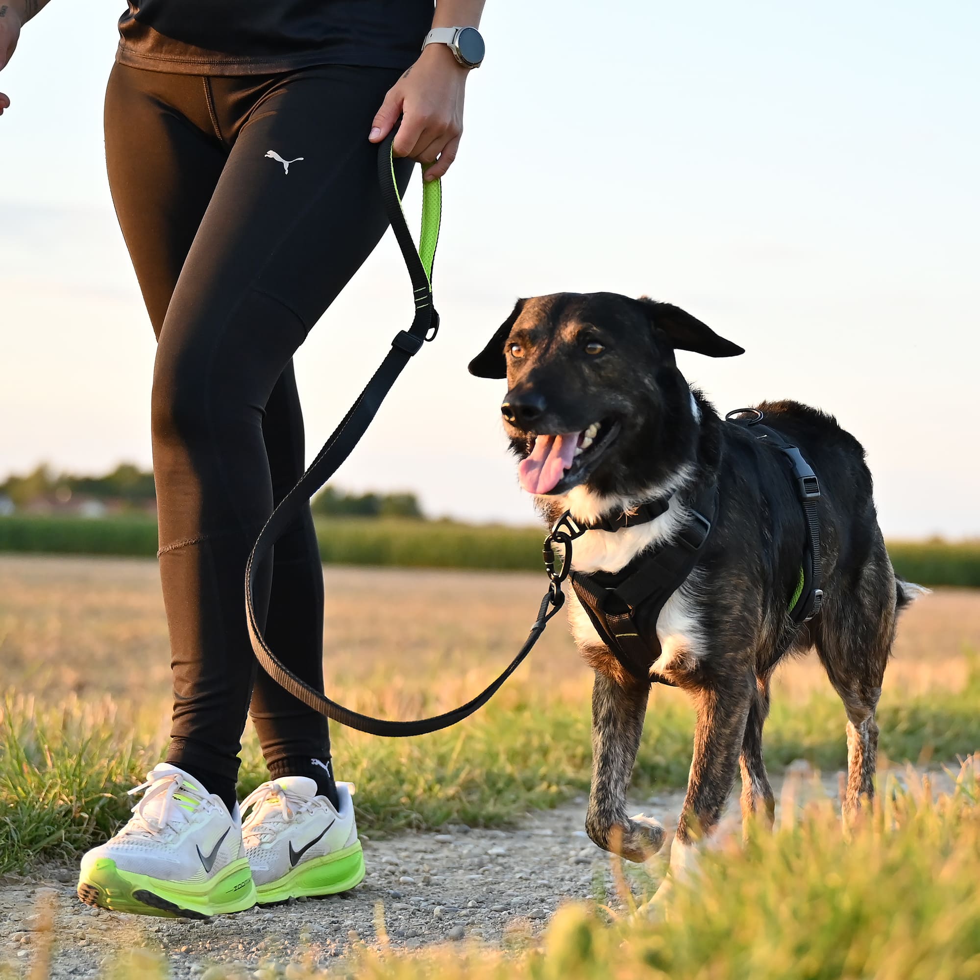 Trail Hundeleine Schwarz-Neongelb - Image 3