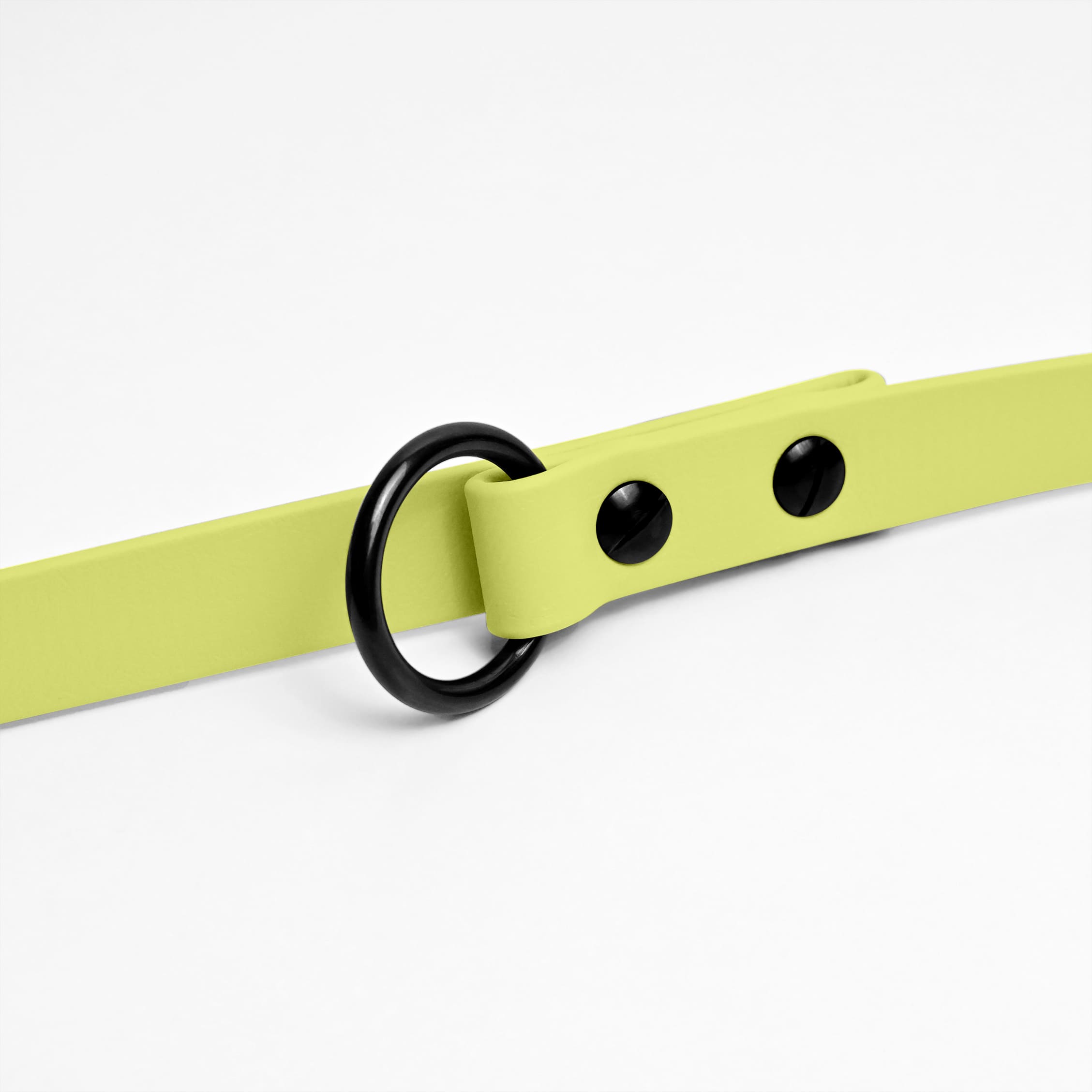 Hundeleine BioThane - Butteryellow - Image 3