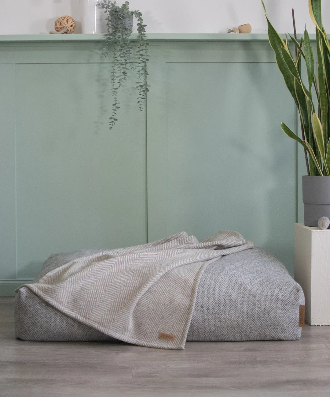 BUDDY. Hundedecke - aus Wolle - Beige - Image 3