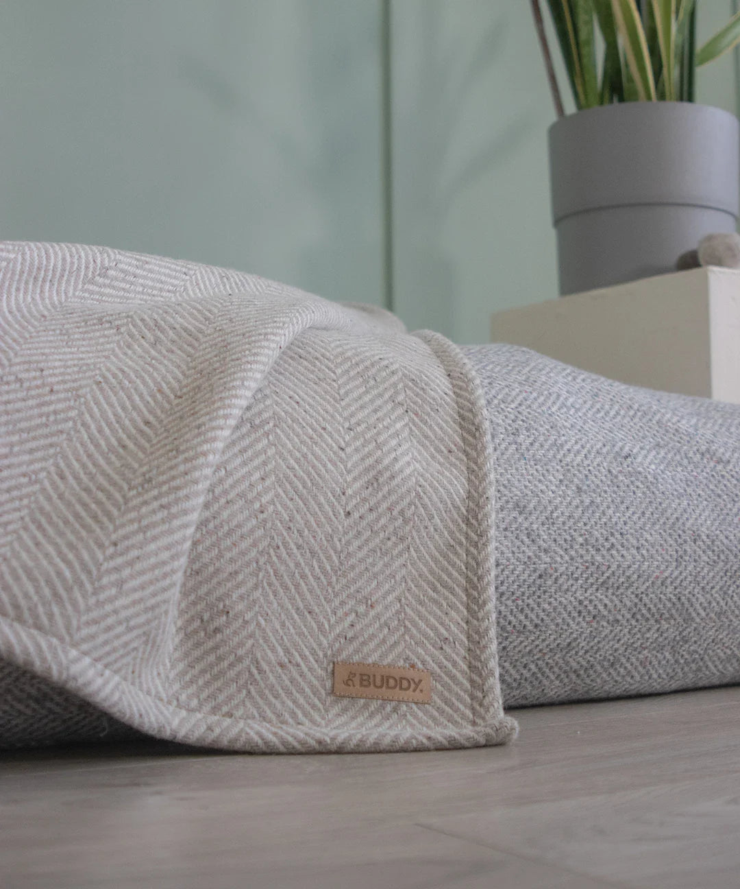 BUDDY. Hundedecke - aus Wolle - Beige - Image 2
