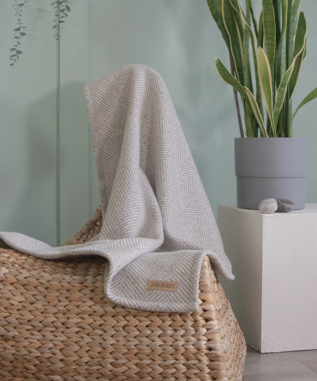 BUDDY. Hundedecke - aus Wolle - Beige