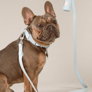 Alternative view of Leine Ease